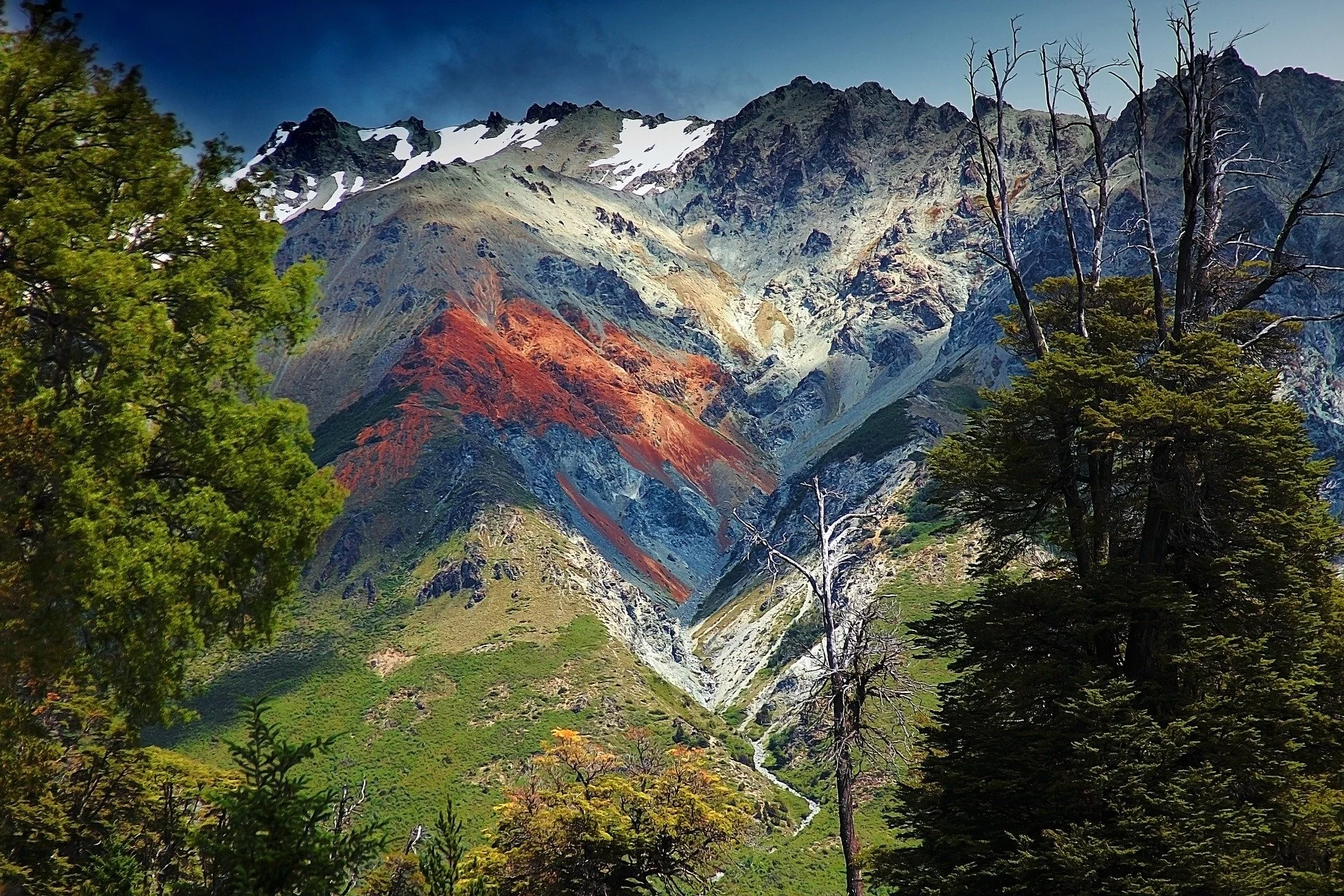 Argentina 8
