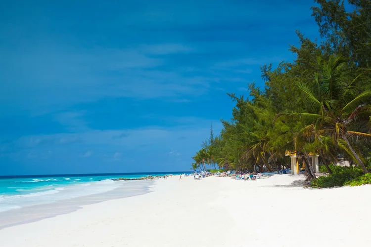 Barbados 8